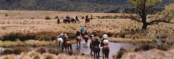 Australien – Snowy Mountains teaser