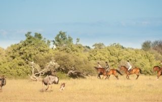 Botswana - Limpopo Dalen