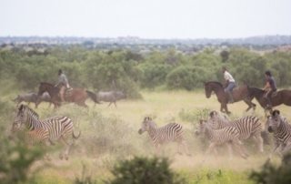 Botswana - Limpopo Dalen