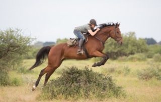 Botswana - Limpopo Dalen