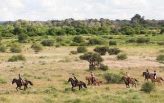 Botswana - Limpopo Dalen