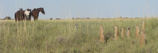 Botswana – Kalahari Safari teaser