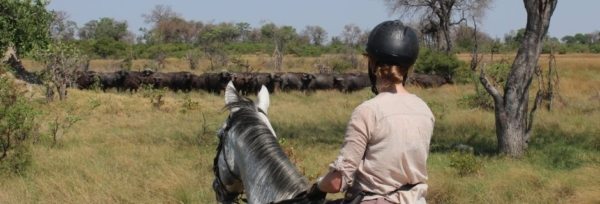Botswana – Motswiri Camp teaser