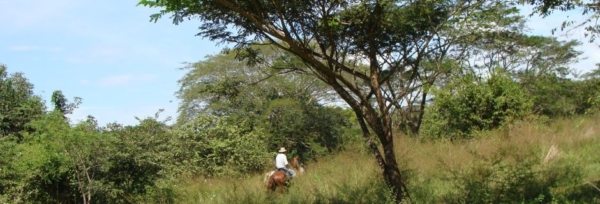 Costa Rica – Regnskov & Eventyr teaser