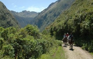 Ecuador - Hacienda Zuleta