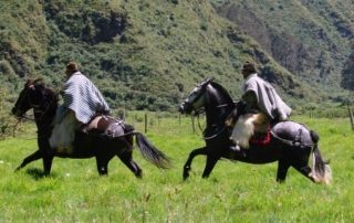 Ecuador - Hacienda Zuleta