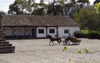 Ecuador - Hacienda Zuleta