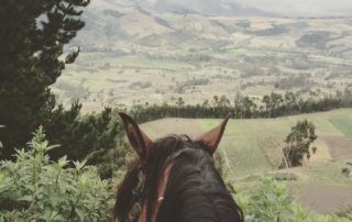 Ecuador - Hacienda Zuleta