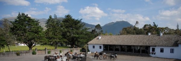 Ecuador - Hacienda Zuleta teaser