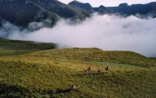 Ecuador – Andes Ridt