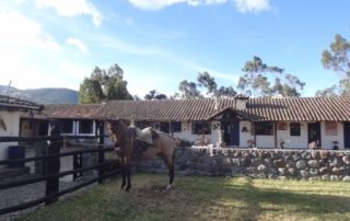 Ecuador – Andes Ridt Hacienda