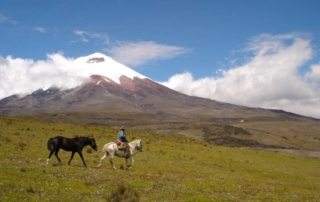 Ecuador – Andes Ridt