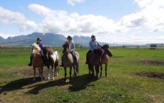Island - Ridning i Skagafjörður