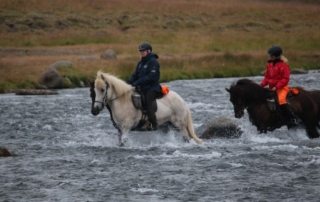 Island - Ridning i Skagafjörður