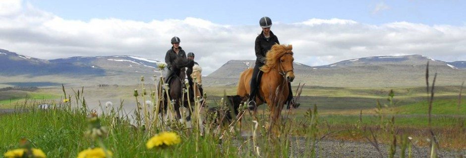 Rideferie Island Højlandet I Nord På Islandske Heste Rid And Rejs