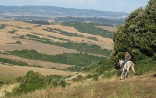 Italien – Castellare di Tonda