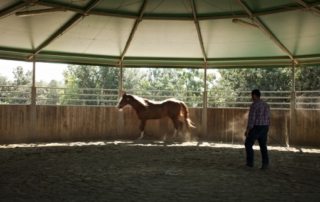 Italien – Castellare di Tonda