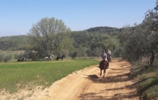 Italien – Castellare di Tonda