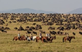 Kenya - Masai Mara