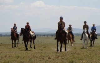 Kenya - Masai Mara