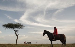 Kenya - Masai Mara