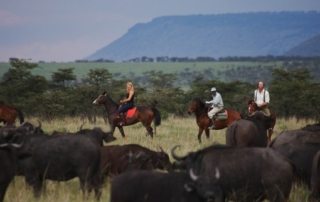 Kenya - Masai Mara