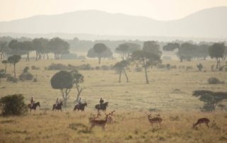 Kenya - Masai Mara