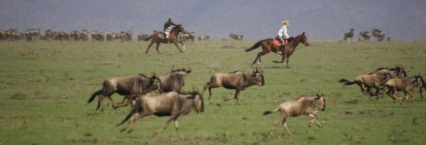 Kenya - Masai Mara teaser