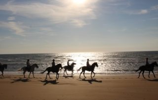 Marokko - Essaouira