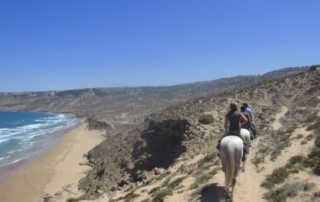 Marokko - Essaouira