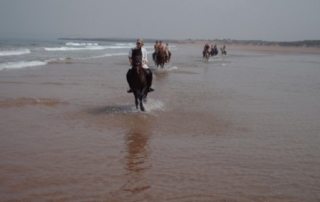 Marokko - Essaouira