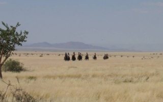 Namibia – Namib Ørkenen