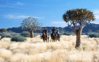 Namibia – Namib Ørkenen