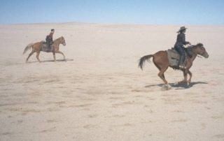 Namibia – Namib Ørkenen