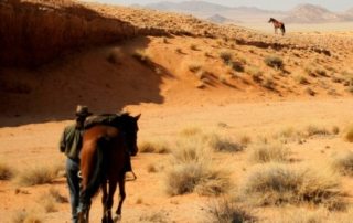 Namibia – Namib Ørkenen