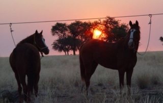 Namibia – Namib Ørkenen