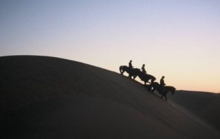 Namibia – Namib Ørkenen