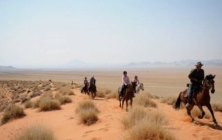 Namibia – Namib Ørkenen