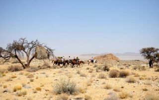 Namibia – Namib Ørkenen