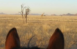 Namibia – Namib Ørkenen