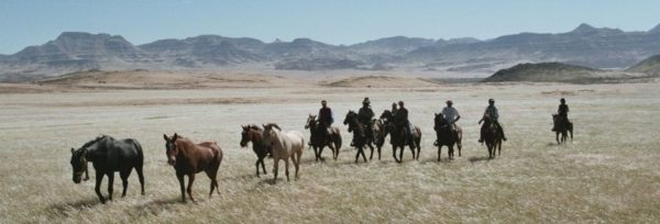 Namibia – Namib Ørkenen teaser