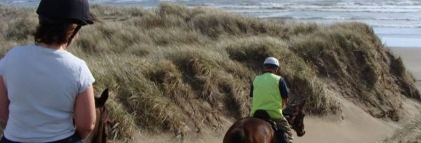 New Zealand - South Kaipara teaser