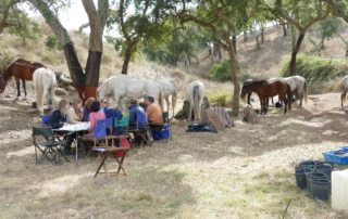 Portugal – Alentejo Ridt