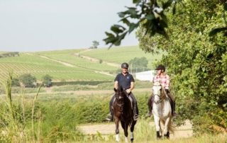 Portugal - Quinta do Rol