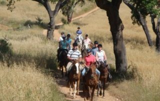 Portugal – Alentejo Ridt