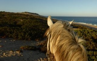 Portugal – Alentejo Ridt