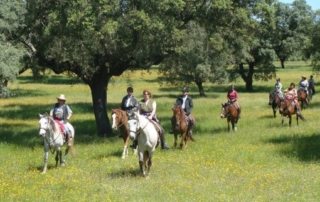 Portugal – Alentejo Ridt