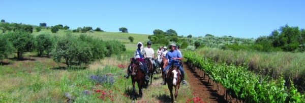 Portugal – Alentejo Ridt teaser