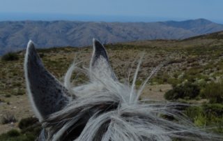 Spanien - Sierra Nevada