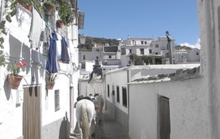 Spanien - Sierra Nevada